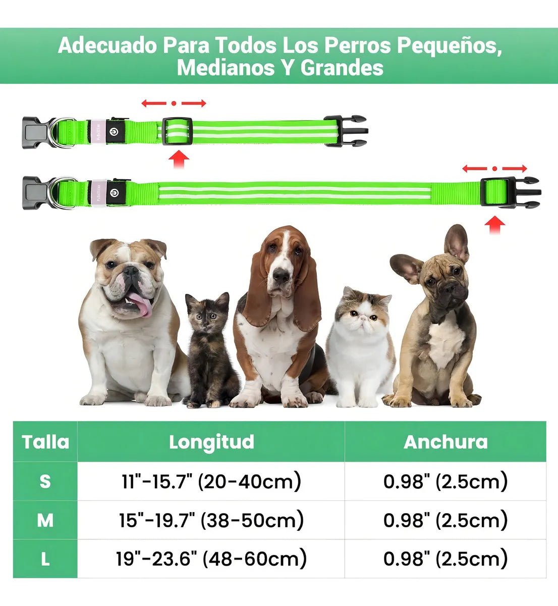 Combo Guante y Collar De Perro