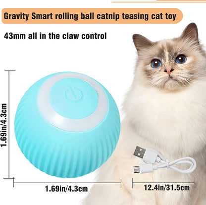🐾 Pelota Interactiva para Gatos