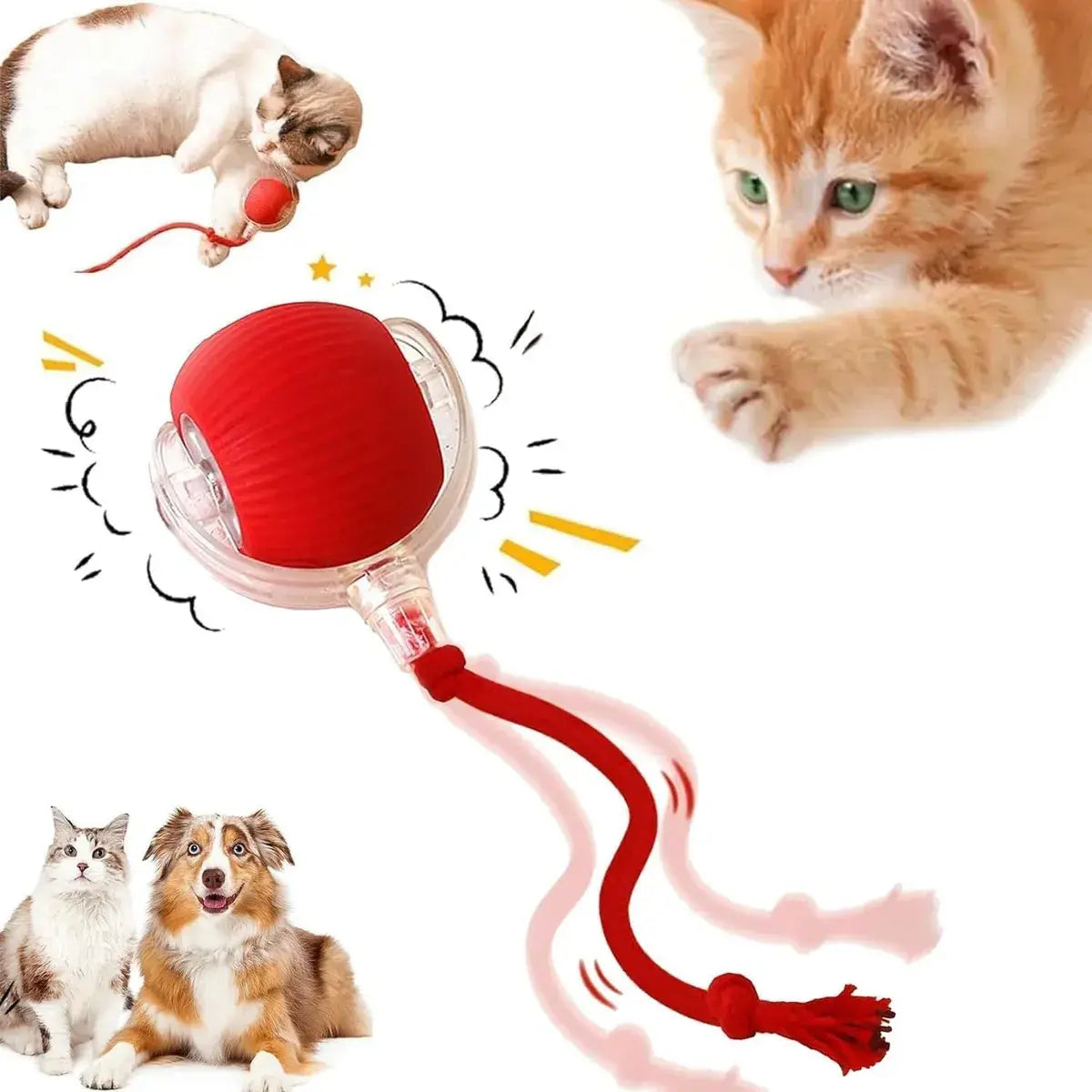 🐾 Pelota Interactiva Colita Para Mascotas