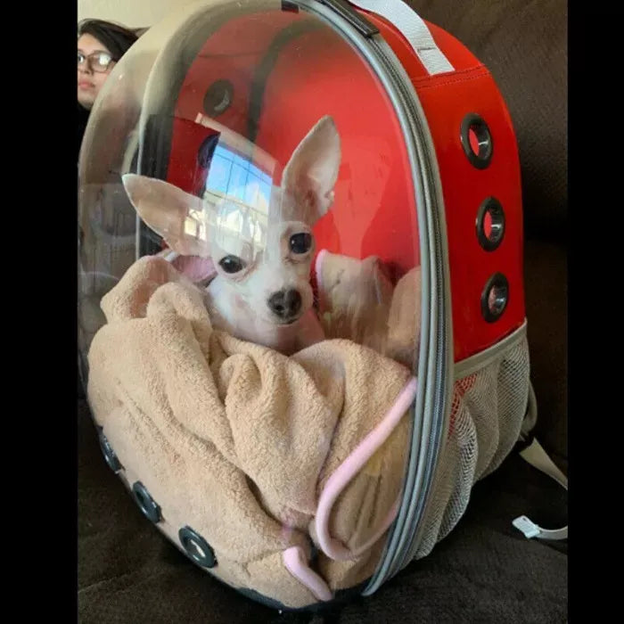 Maleta Para Mascotas Perro O Gato