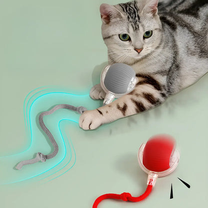 🐾 Pelota Interactiva Colita Para Mascotas