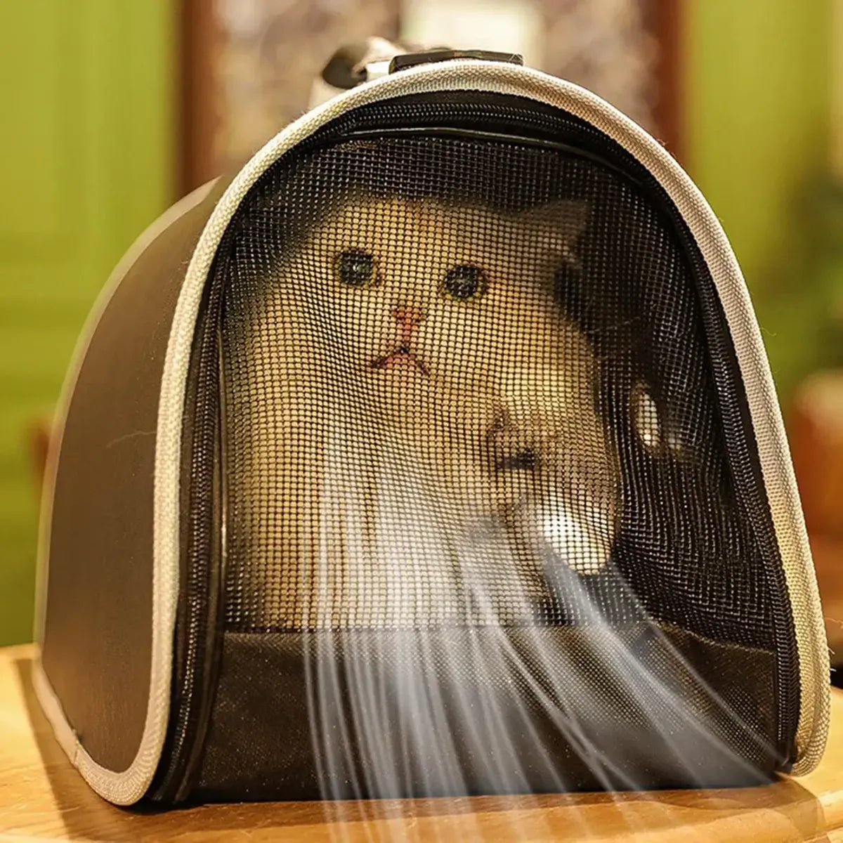 🎒 Maleta Morral Transportadora para Mascotas 🐶🐱