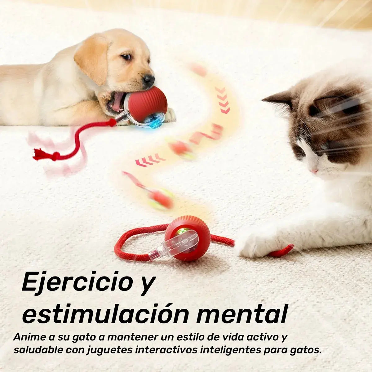 🐾 Pelota Interactiva Colita Para Mascotas