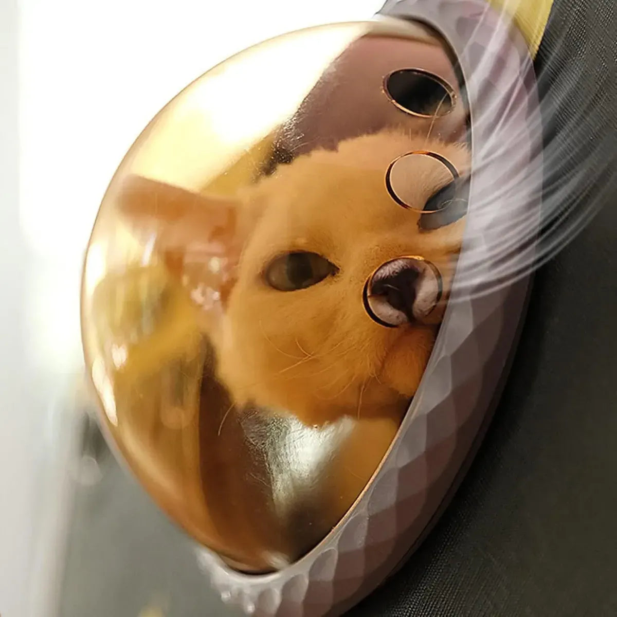 🎒 Maleta Morral Transportadora para Mascotas 🐶🐱