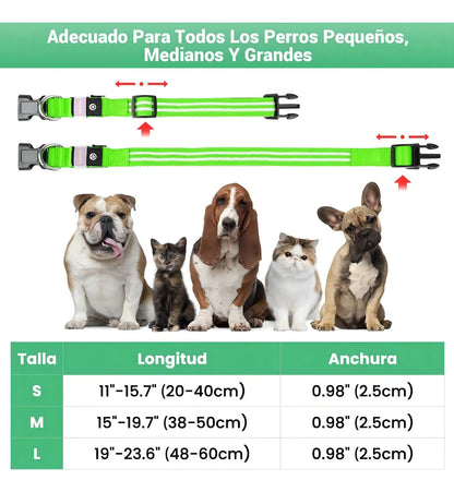 Combo Guante y Collar De Perro